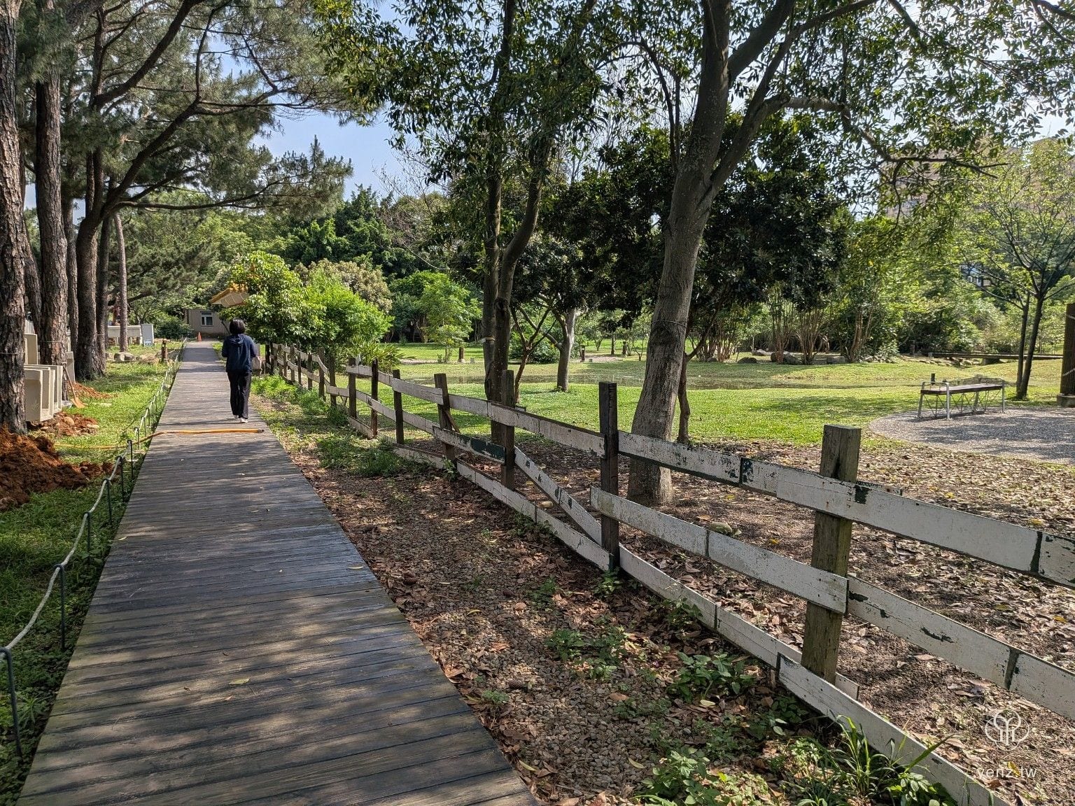 大湳森林公園木棧道與行走路線