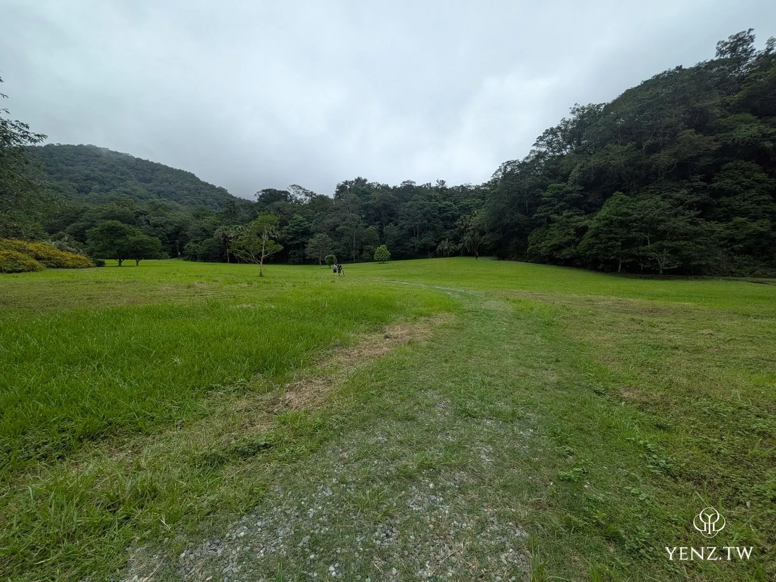 福山植物園的大草原，開闊的草地被雲霧繚繞的森林山丘環抱。
