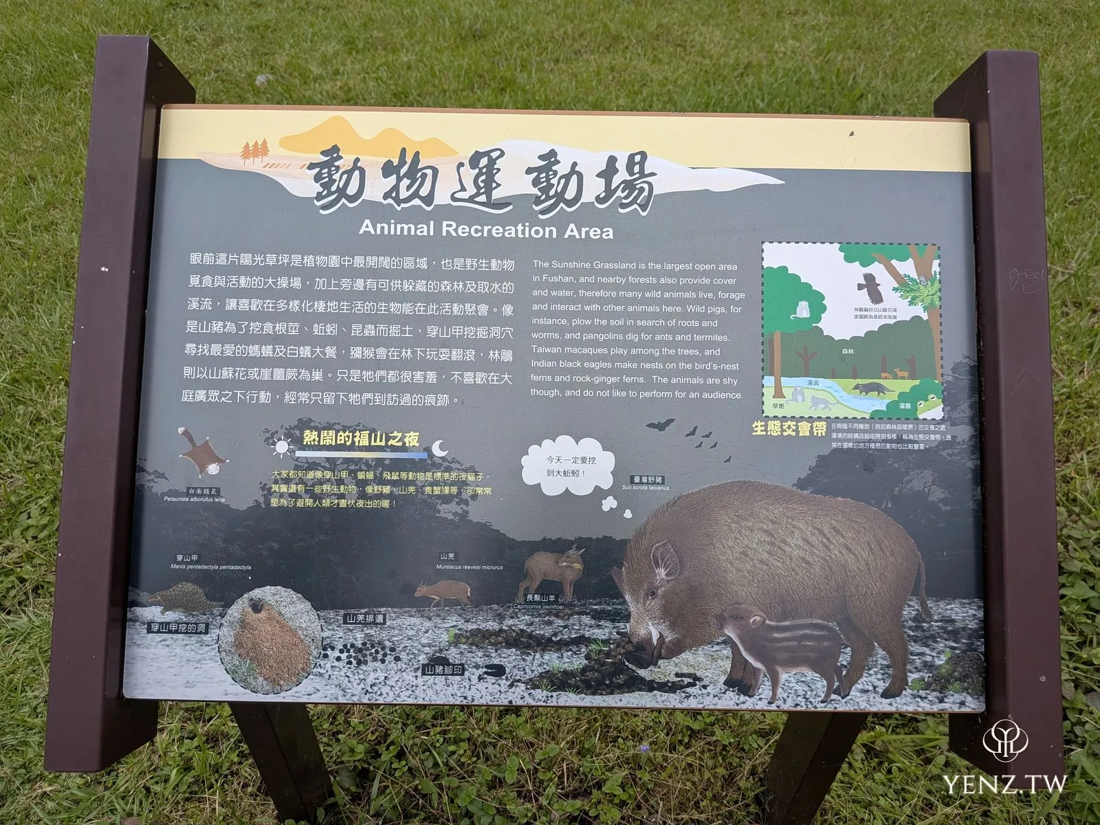「動物運動場 Animal Recreation Area」解說牌，列出山豬、山羌、獼猴等夜間出沒動物。