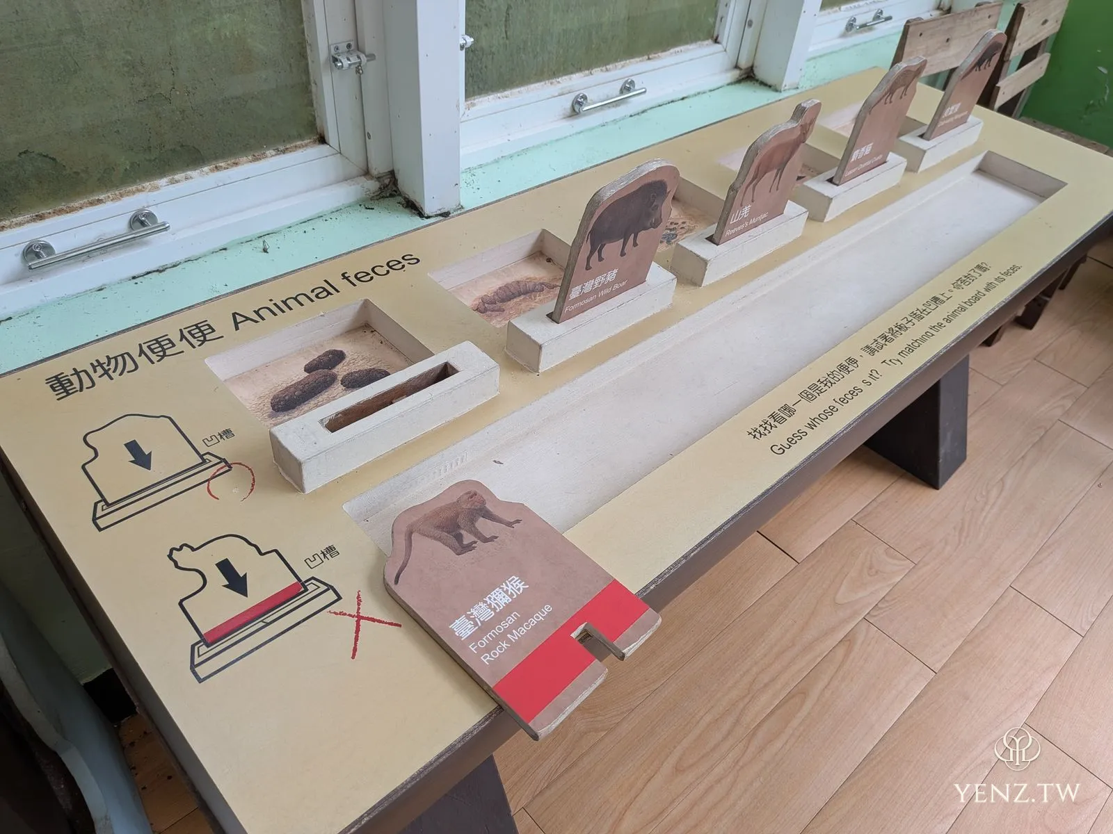 互動展示「動物便便 Animal feces」，讓人猜不同動物的糞便。