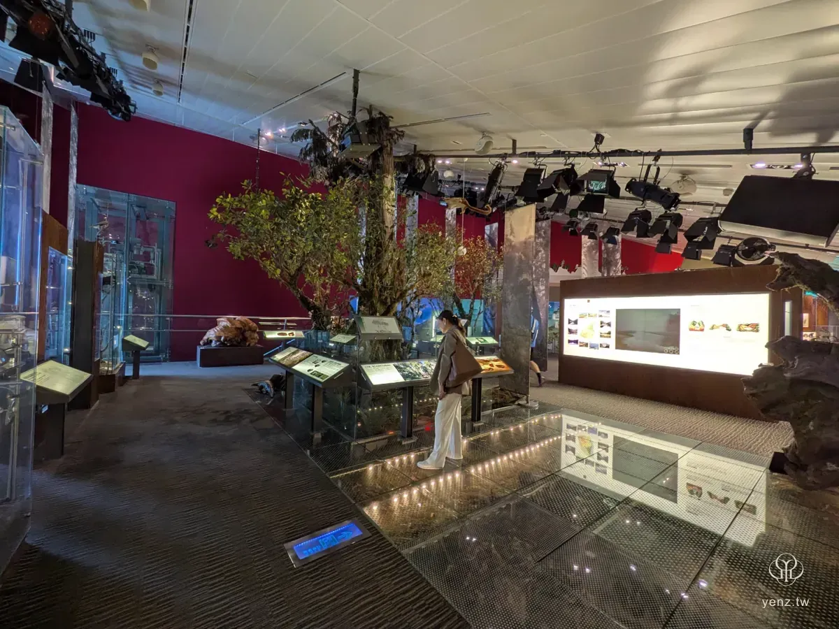 山之層沉浸式森林展示與植被、燈光。