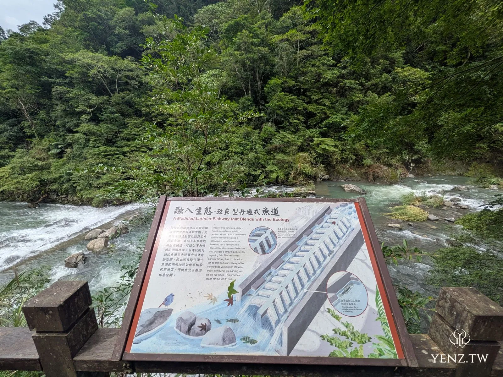 解說牌「改良舟型通道式魚道——融入生態」，背後是湍急的溪流。