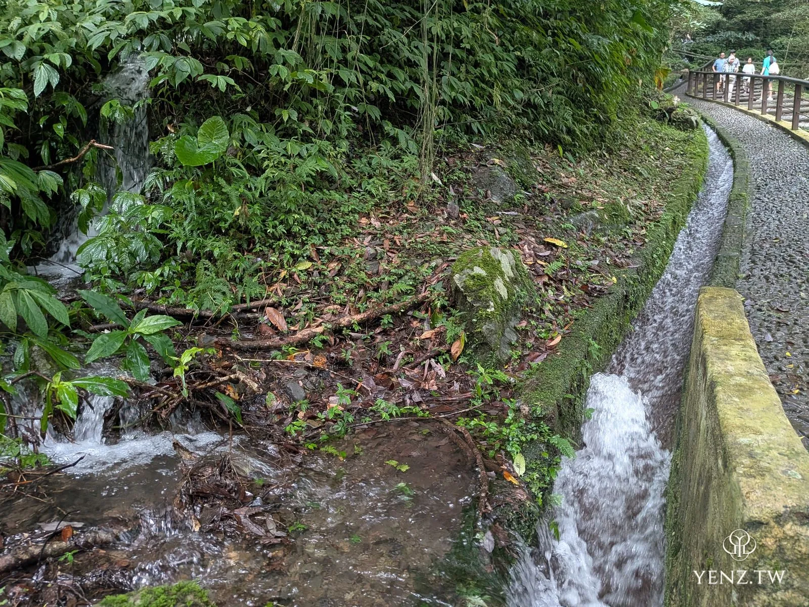 步道旁人工水道裡湍急清澈的水流，旁有天然小瀑匯入，雨後漂著枝葉。