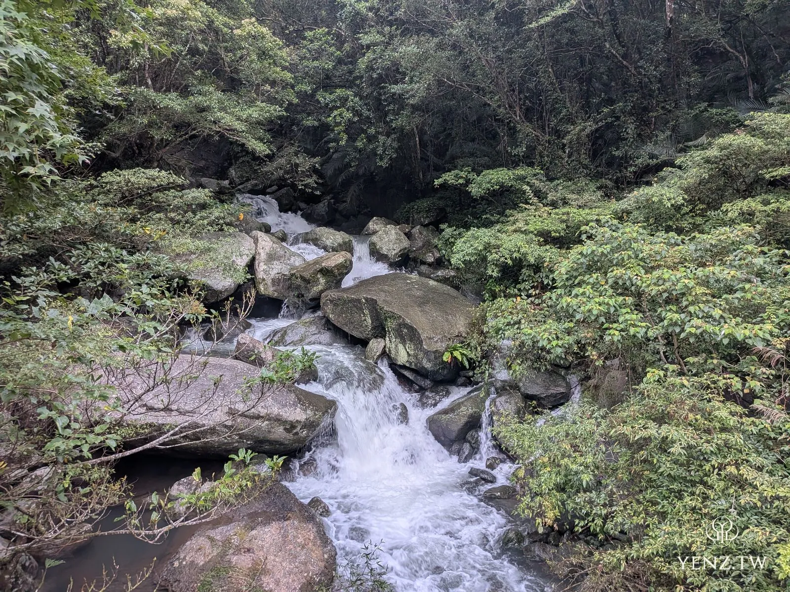 楓翠橋下的溪瀑，水勢比上山時更大，白水奔流過巨石。