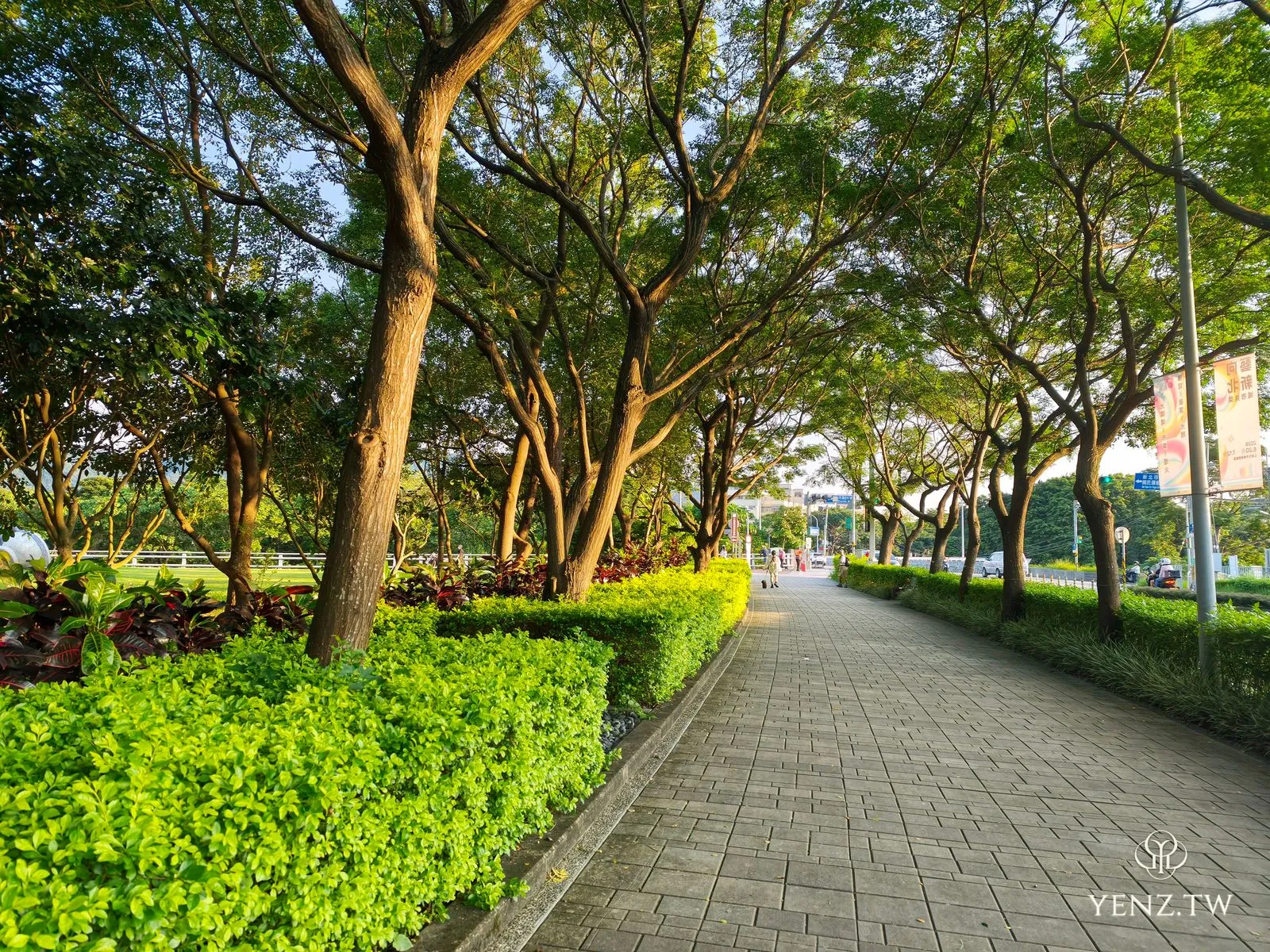 黃昏的林蔭步道，兩旁是樹木與綠籬，光線溫柔，通往園區外。