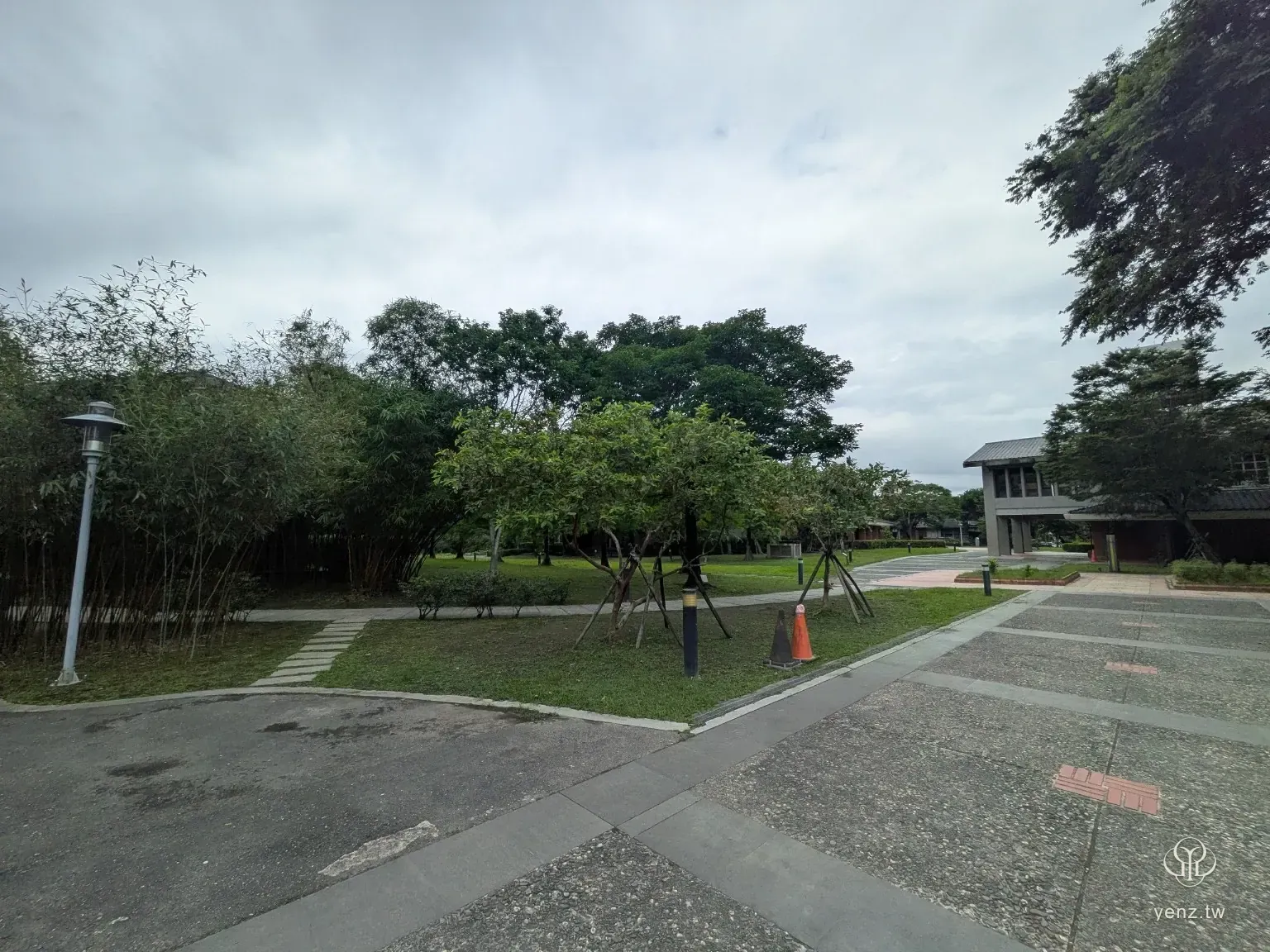 竹林與樹蔭步道的慢節奏