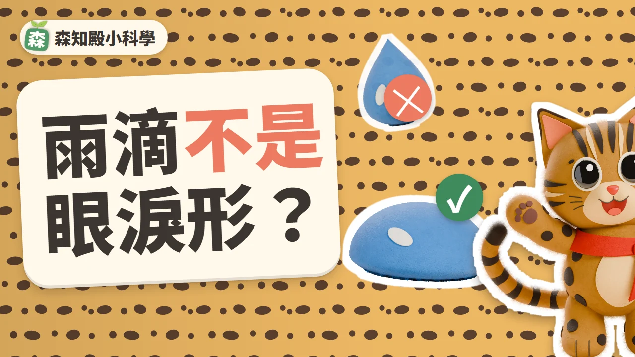 影片縮圖版型：石寶的斑點花色當背景，奶油色積木上寫著「雨滴不是眼淚形？」，旁邊是眼淚形和圓扁麵包形兩顆雨滴
