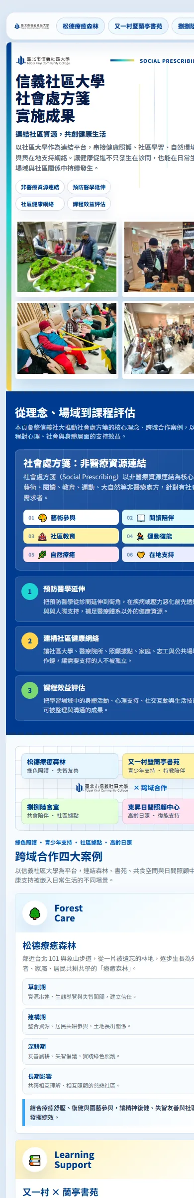 社會處方箋成果網站手機版截圖。
